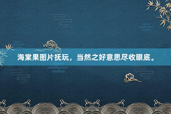 海棠果图片抚玩，当然之好意思尽收眼底。