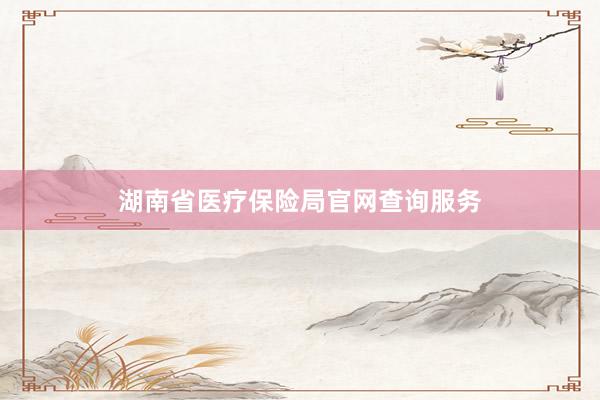 湖南省医疗保险局官网查询服务